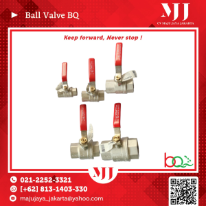 Ball Valve