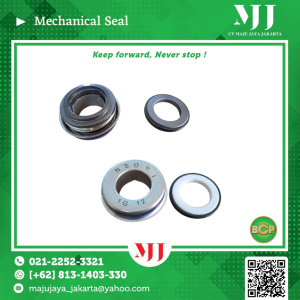 Mechanical Seal