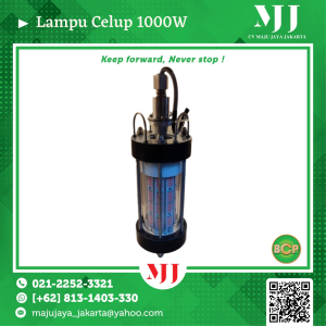 Jual Lampu Celup 1000W