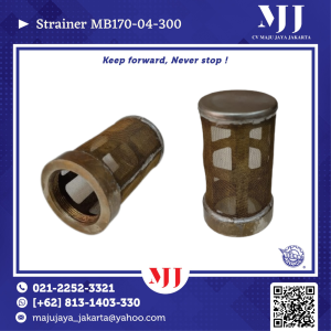 Strainer / Filter MB170-04-300 Adv