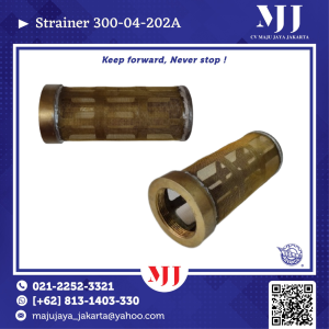 Strainer 300-04-202A Adv