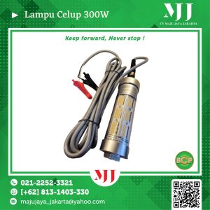 Lampu Celup 300W