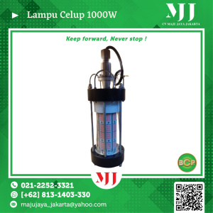 Lampu Celup 1000W