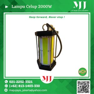 Lampu Celup 2000W