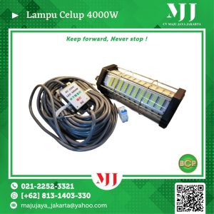 Lampu Celup 4000W