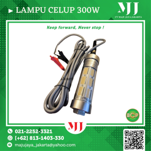 Jual Lampu Celup 300W
