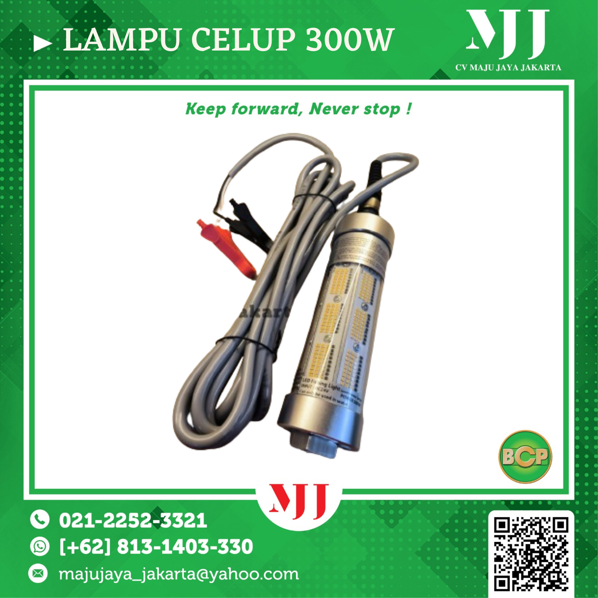 Jual Lampu Celup 300W